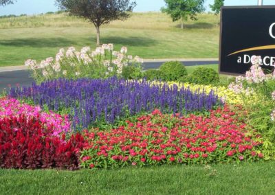 Flowers planted at Office Building by Greenside Inc in Savage, MN.