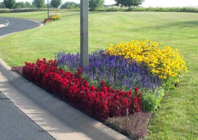 Flowers planted by Greenside Inc in Savage, MN.